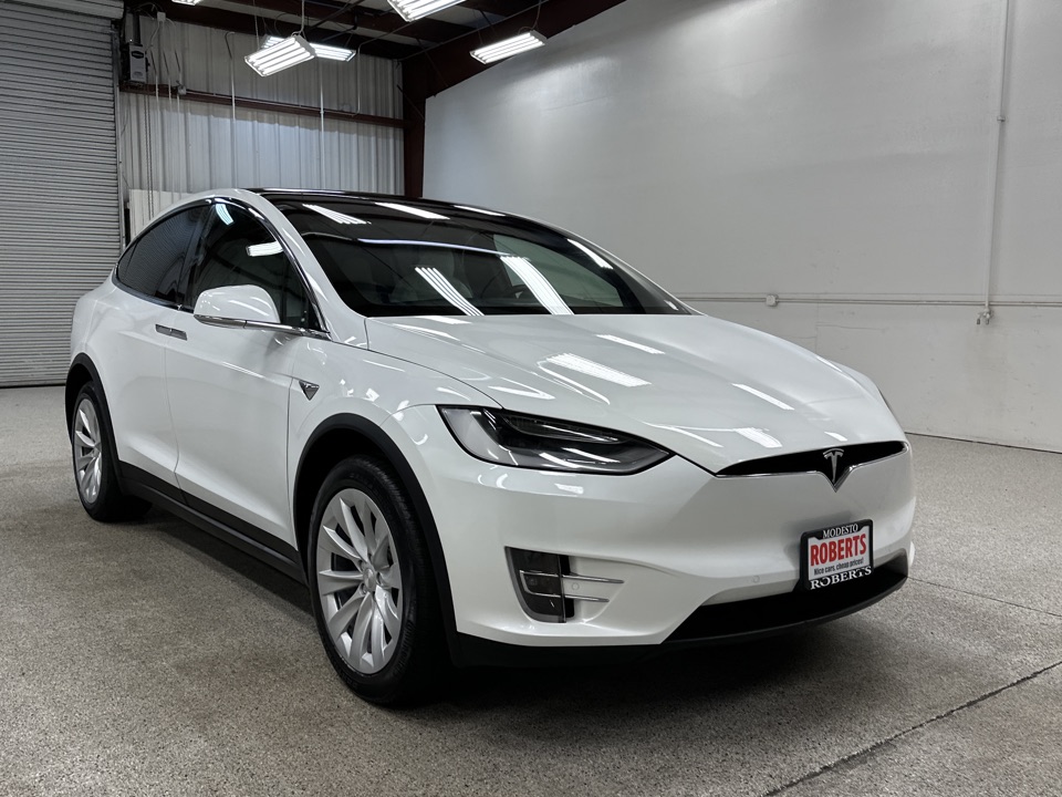 2020 Tesla Model X - Roberts